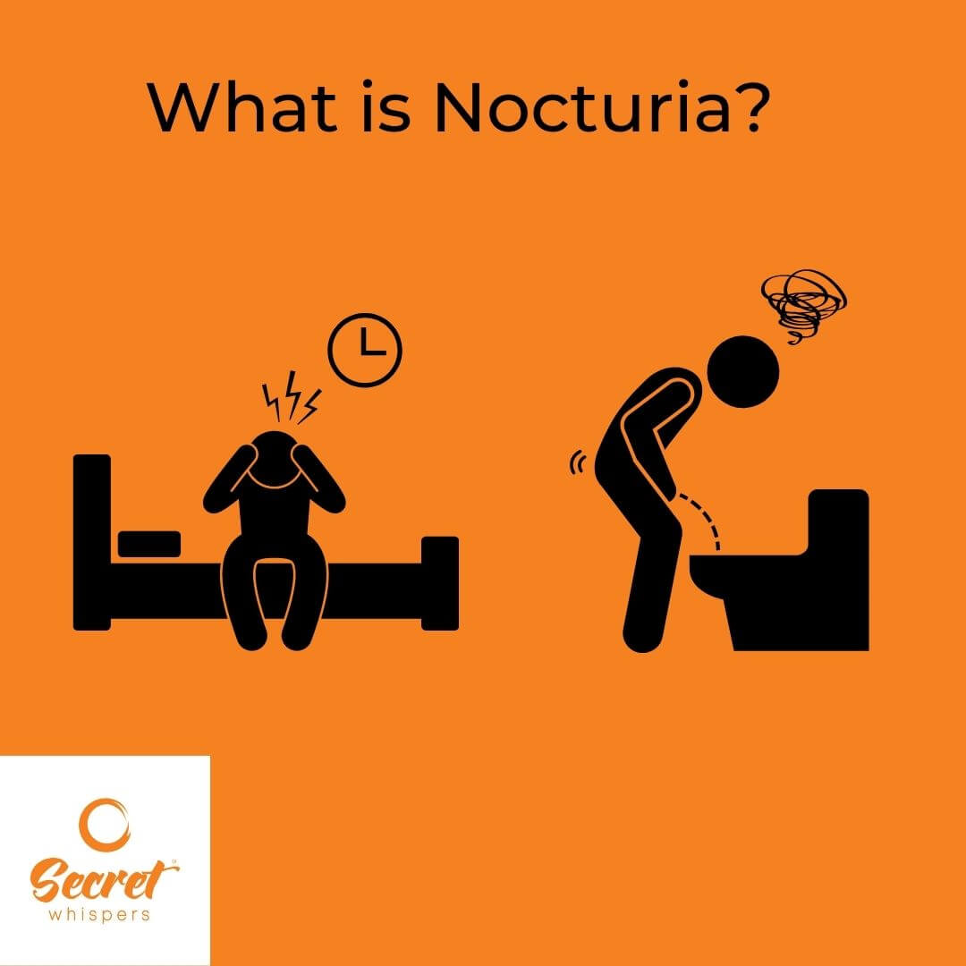 Nocturas sales