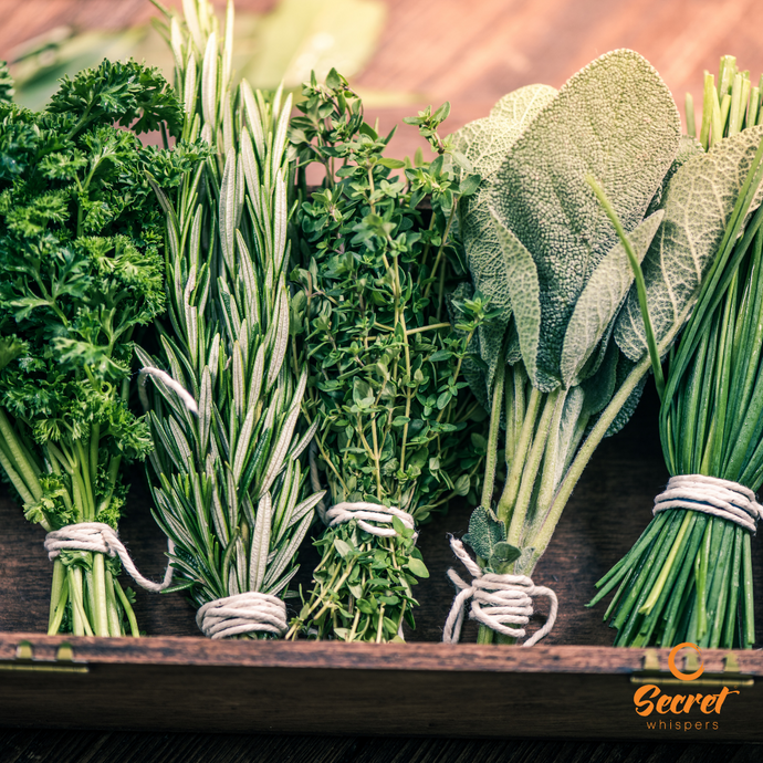 Herbs for Health