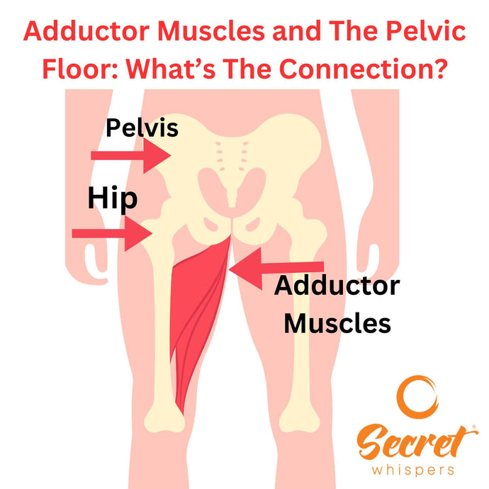 Adductor Muscles and The Pelvic Floor: What’s The Connection?