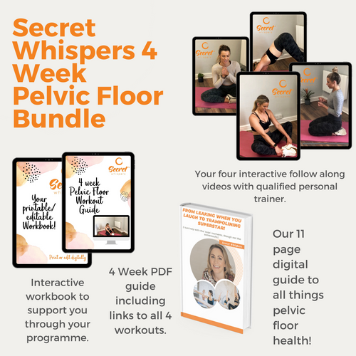 Your 4-Week Pelvic Floor Video Course AND The Gut Health eBook BUNDLE - SecretWhispers™
